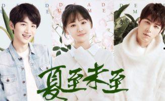 夏至未至娱乐圈,娱乐圈的青春旋律与梦想交响