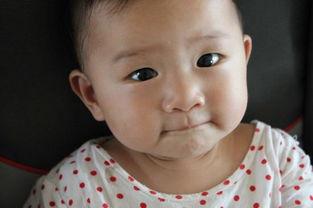 嘴咬的图片,探寻嘴咬图片背后的故事