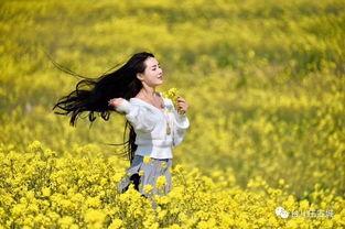 一路花香的资料,探寻自然之美与心灵之旅